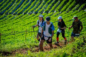 BIB: 1075, 7232
                            <button type="button" onclick="openModal(19161517)" class="btn btn-primary btn-sm float-right btn-popup" data-toggle="modal" data-target=".modal-high-quality">
                        <i class="fas fa-shopping-cart"></i> Add to Cart
                    </button>
                                            <button type="button" onclick="isThisMe(19161517, true)" class="btn btn-success btn-sm float-right btn-popup btn-isme hidden" data-toggle="tooltip" data-placement="bottom" title="นี่คือรูปของคุณใช่ไหม คลิกที่นี่เพื่อเอาเข้าอัลบั้ม">
                        <i class="fas fa-plus"></i> Add to album
                    </button>
                    <button type="button" onclick="isThisMe(19161517, false)" class="btn btn-warning btn-sm float-right btn-popup btn-isnotme hidden">
                        <i class="fas fa-ban"></i> Remove from album
                    </button>